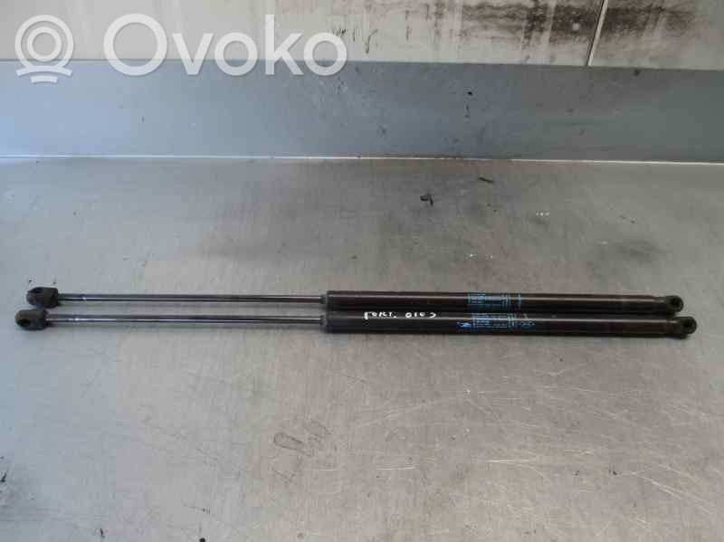Amortyzator klapy tylnej bagażnika   904510002R,4091XG
