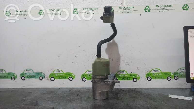 Pompa servosterzo   4N513K514DS