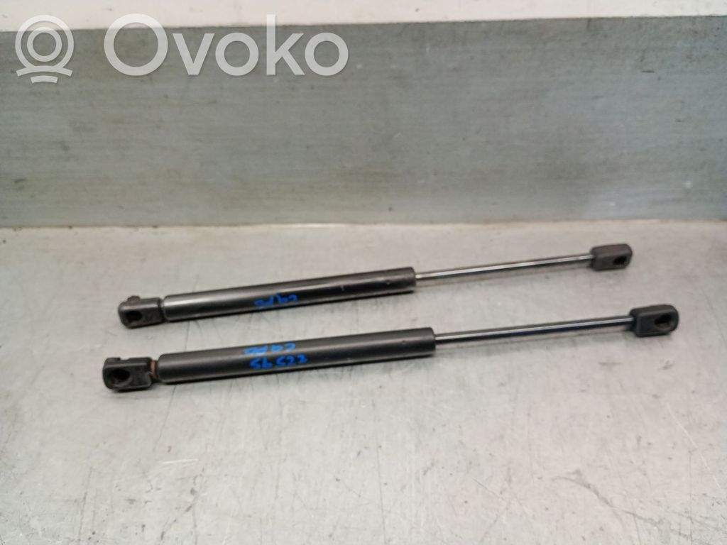 Land Rover Discovery Sport Ammortizzatore portellone anteriore/cofano 