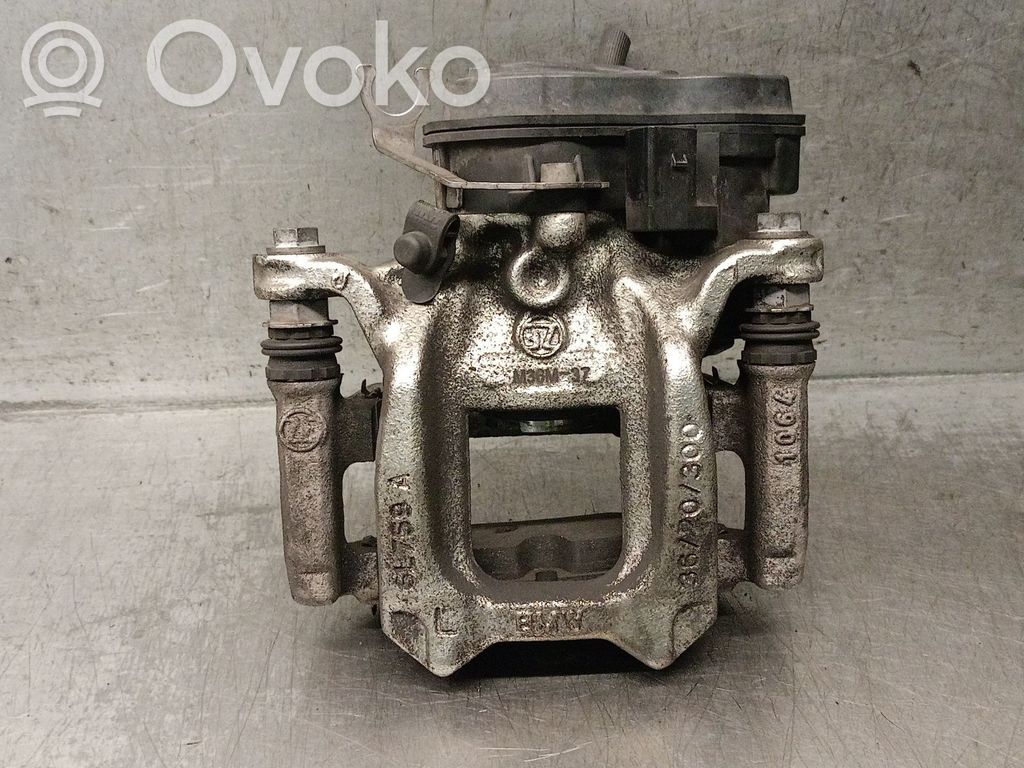 Takajarrusatula   6891065,34208837109