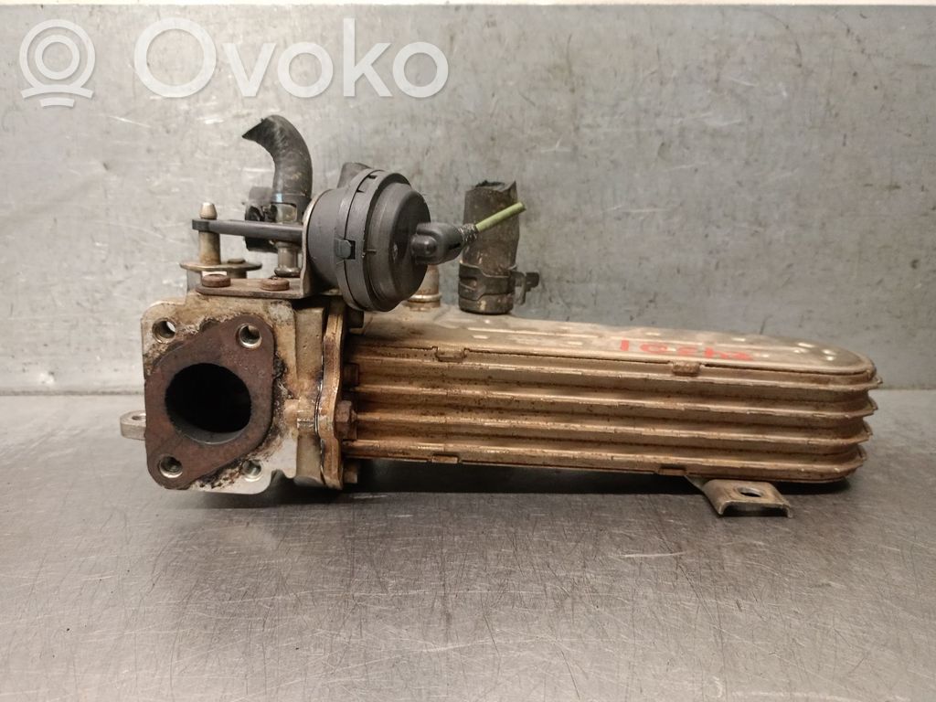 Chłodnica spalin EGR   03G131513K,68001587AA,3255536