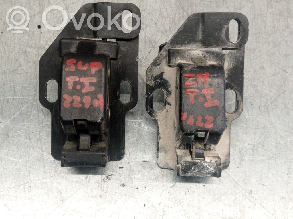 Spyna galinio borto   9137L2,9137L3
