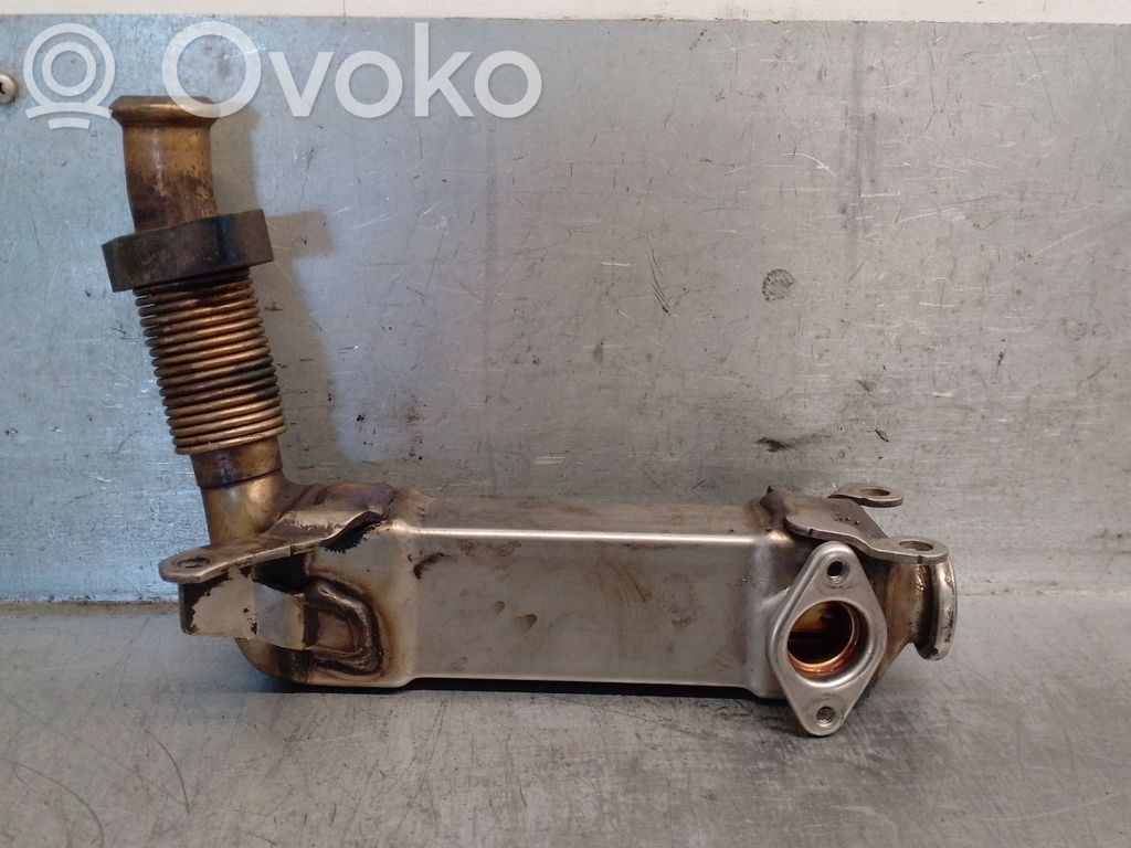 BMW 3 E90 E91 EGR aušintuvas 