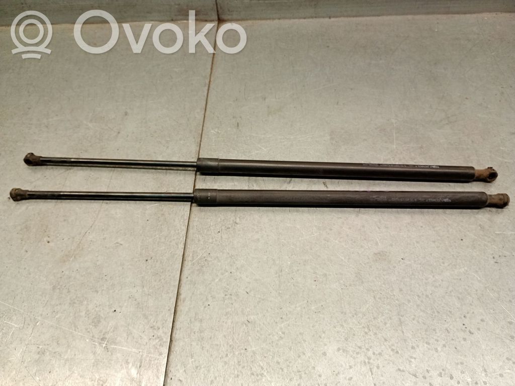 Renault Grand Modus Amortyzator klapy tylnej bagażnika 