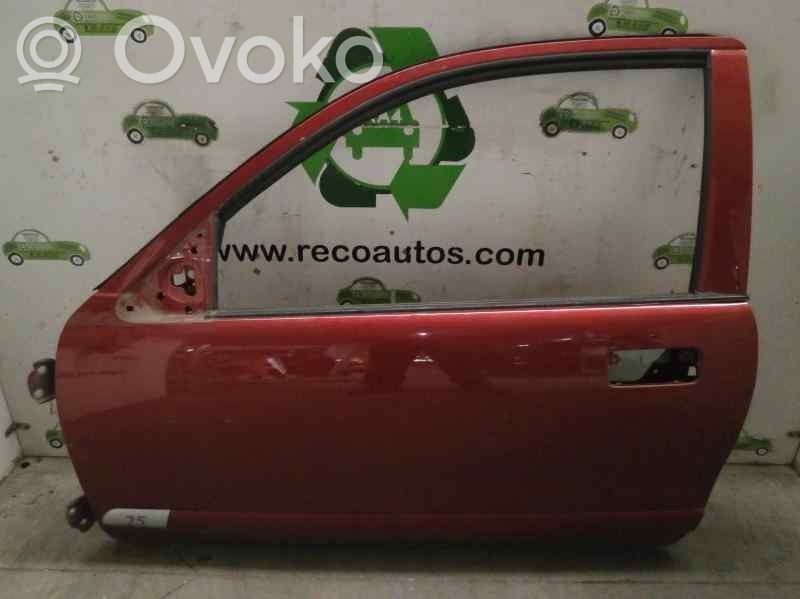 Rover 25 Durvis 