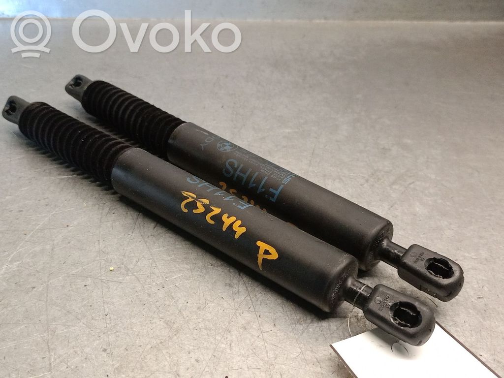 Tailgate/trunk strut/damper   7210557,51247210557
