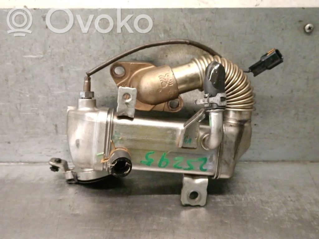 Nissan Qashqai Valvola di raffreddamento EGR 