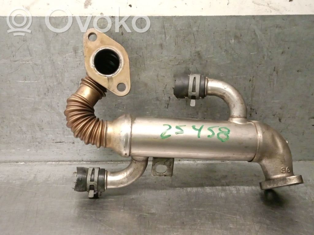 Skoda Fabia Mk2 (5J) Valvola di raffreddamento EGR