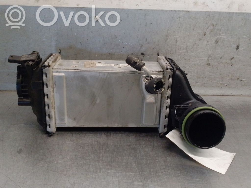 Skoda Kamiq Radiatore intercooler
