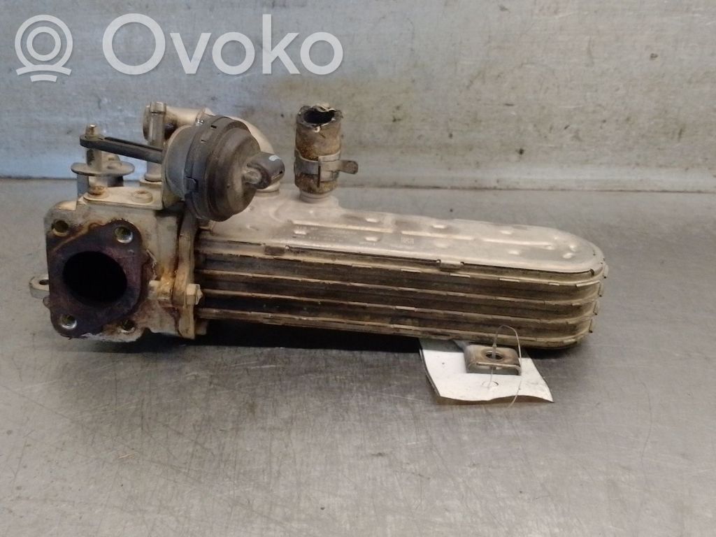 Jeep Compass Răcitor supapă EGR 
