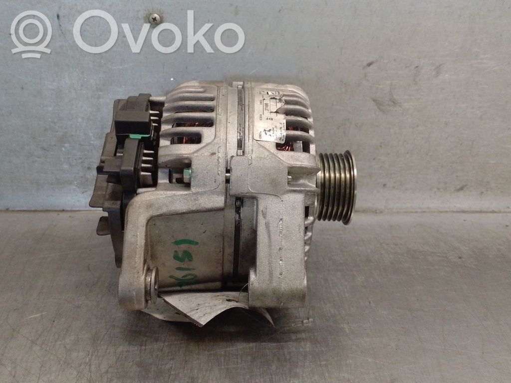 Generator/alternator   9117934,6204079