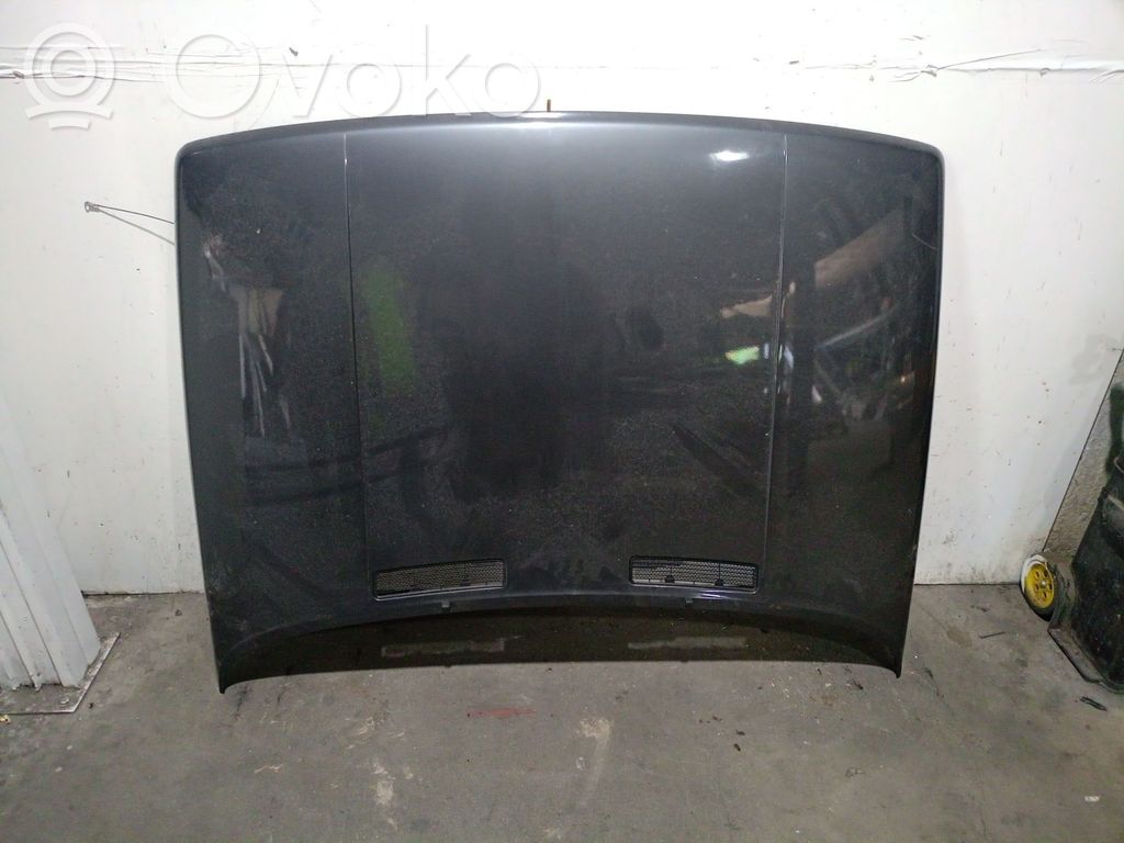 Renault 11 Capó/tapa del motor
