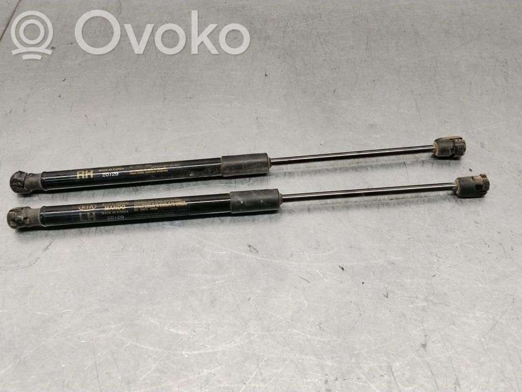 KIA Niro Amortiguador/puntal del maletero/compartimento de carga 