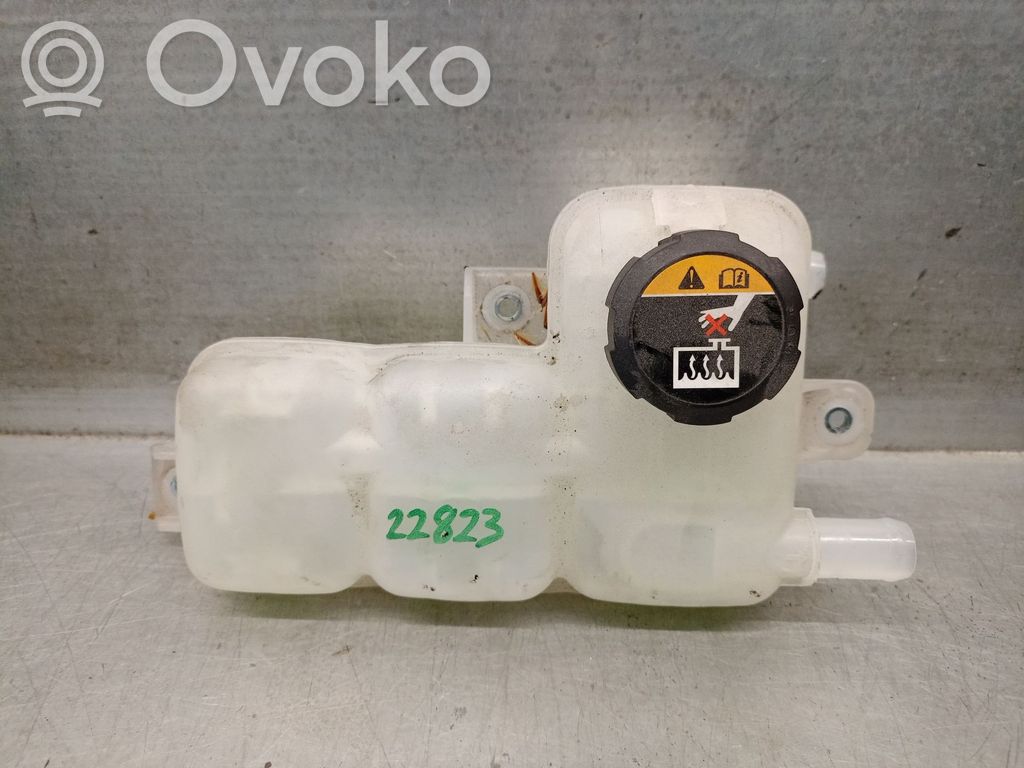 KIA Niro Vaso di espansione carburante