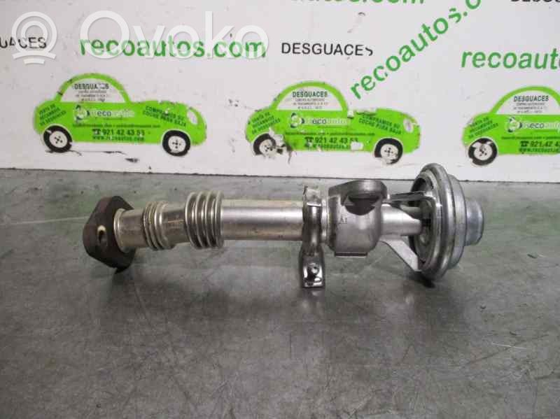 Seat Ibiza II (6k) EGR-venttiili 