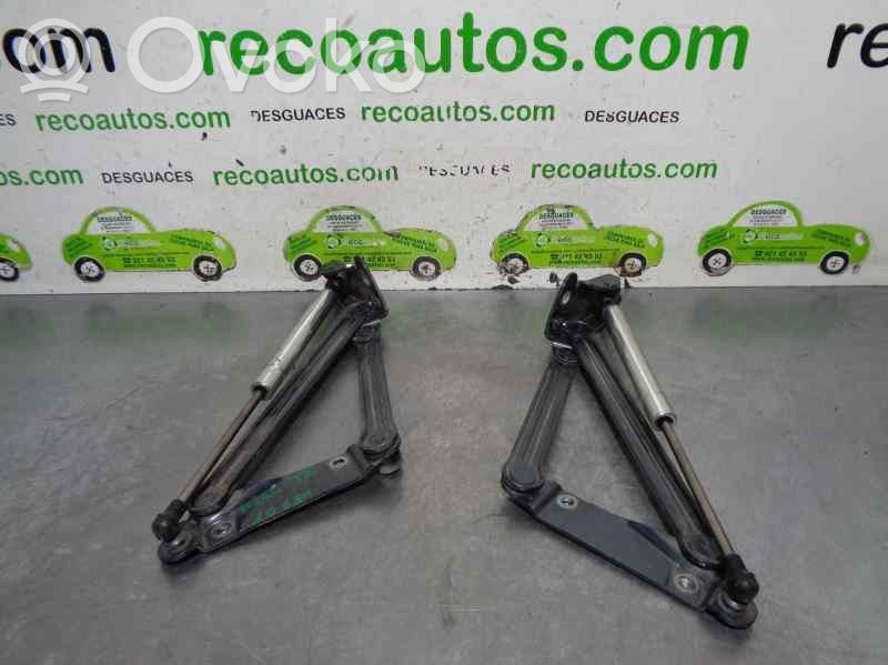 Volkswagen Phaeton Tailgate/trunk strut/damper 