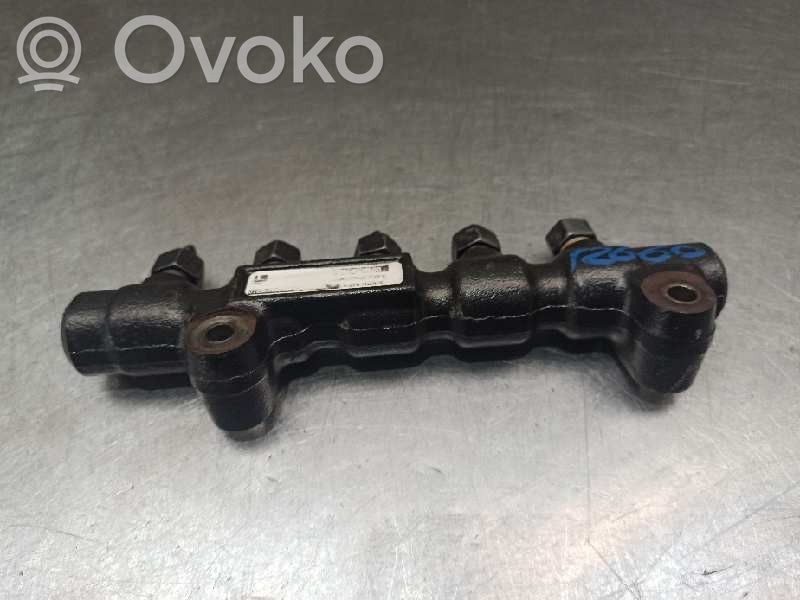 Citroen Berlingo Rampa inyectora