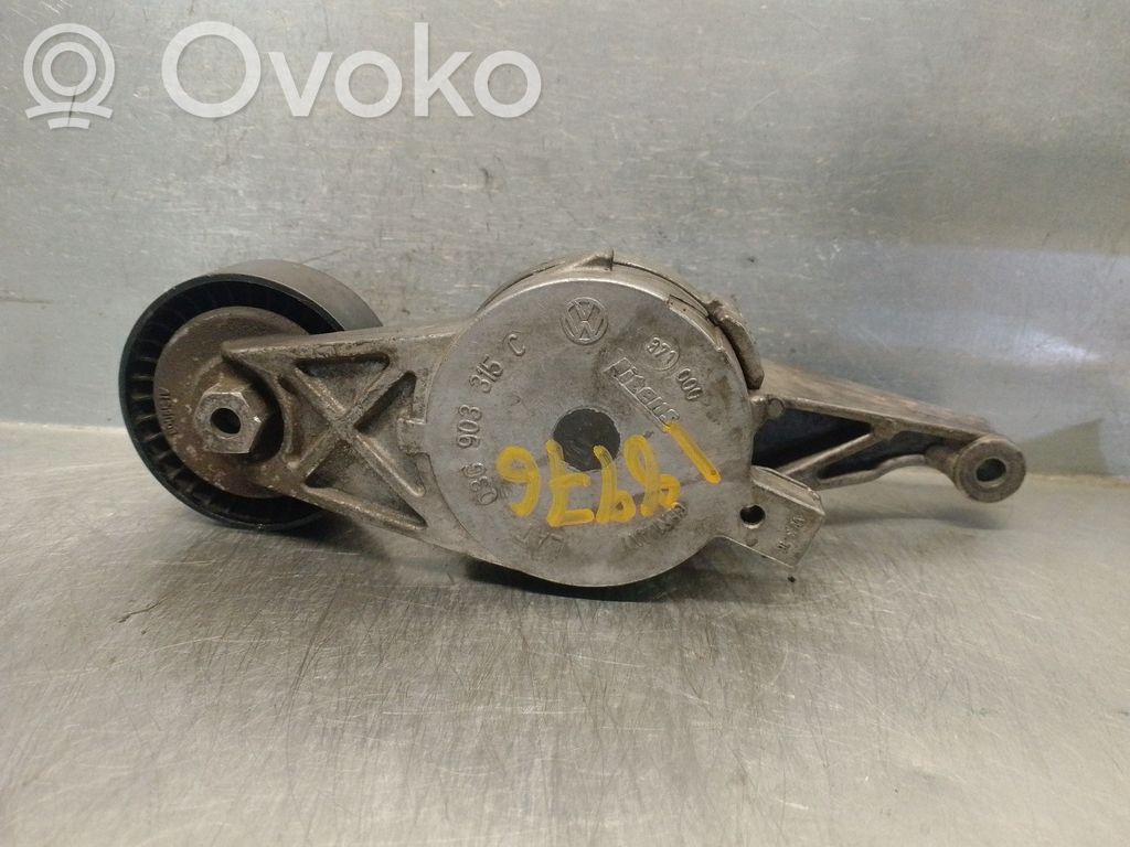 Volkswagen Touran I Napinacz paska alternatora 
