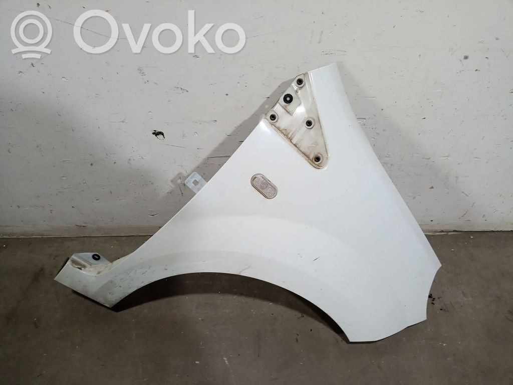 Renault Twingo II Kotflügel
