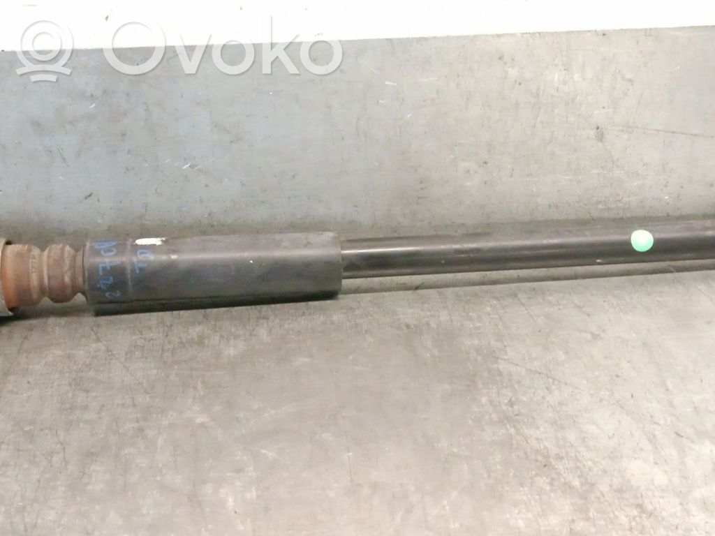 Ford Fiesta Rear shock absorber/damper 