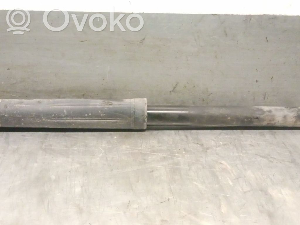 Peugeot 108 Stoßdämpfer hinten