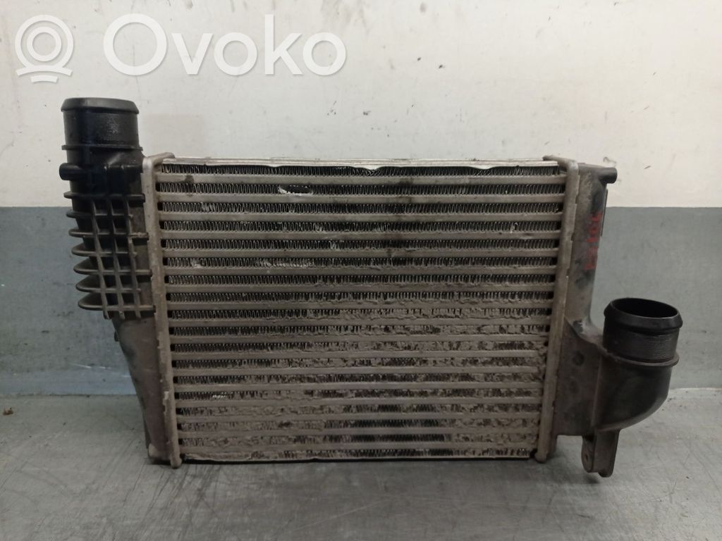 Toyota Proace Ladeluftkühler