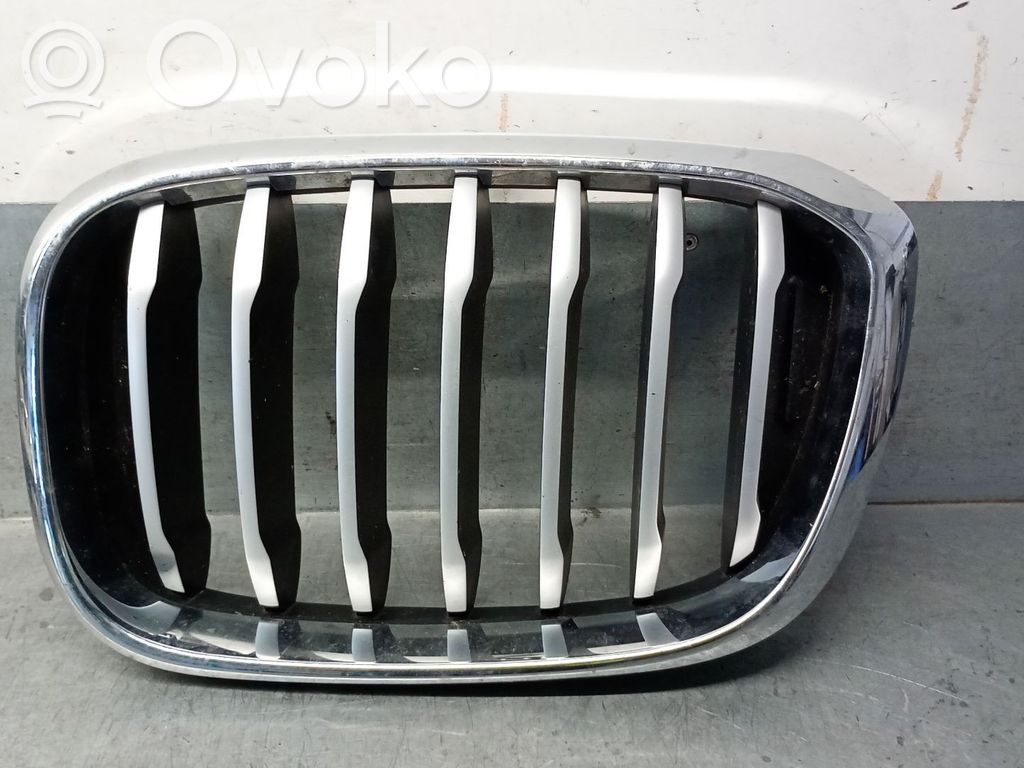 BMW X3 G01 Kühlergrill