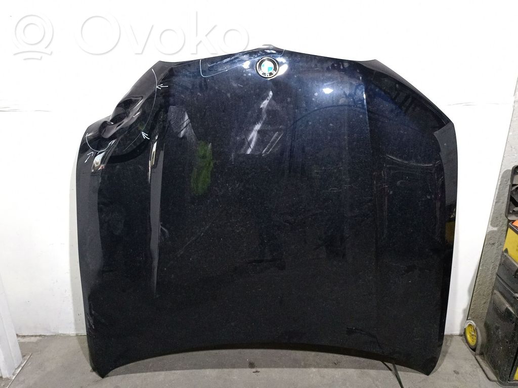 BMW X6 M Motorhaube