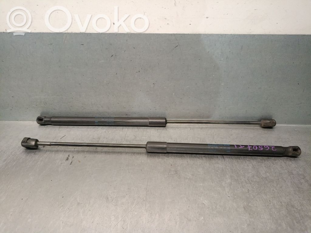 Skoda Fabia Mk3 (NJ) Tailgate/trunk strut/damper