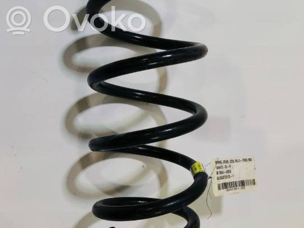 Tesla Model 3 Front coil spring 