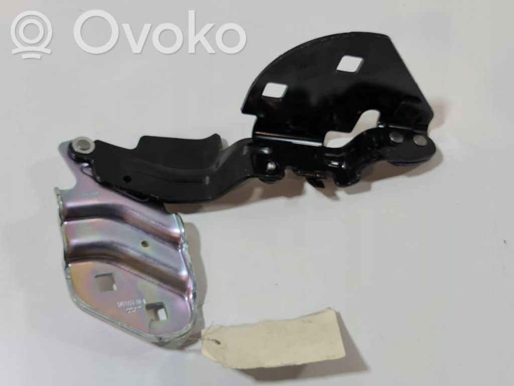 Tesla Model 3 Engine bonnet/hood hinges 
