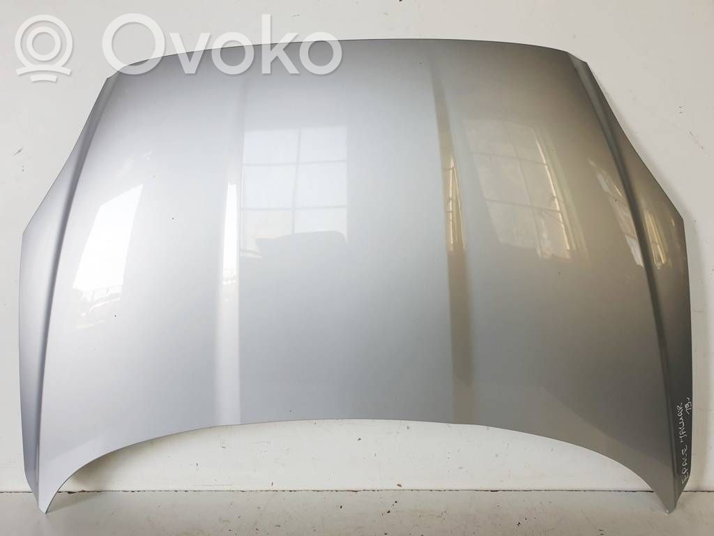 Engine bonnet/hood prop rod/strut