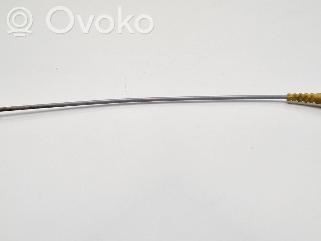 Trosīte