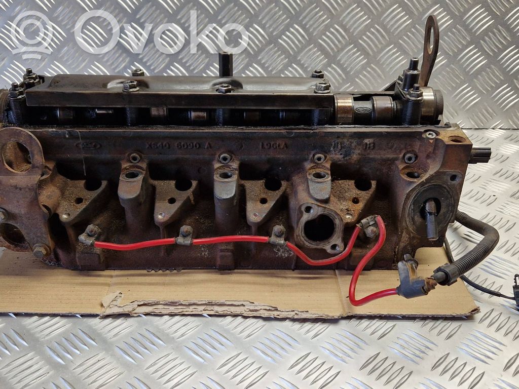 Galvutė   XS406090A