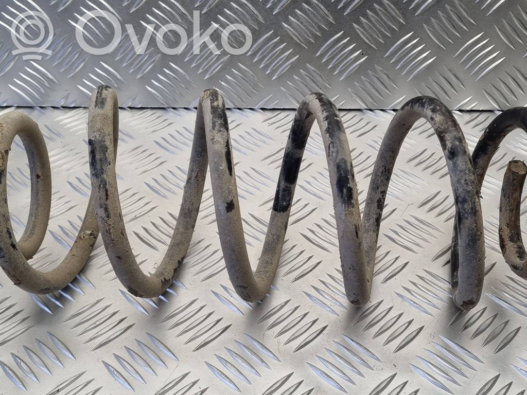 Front coil spring