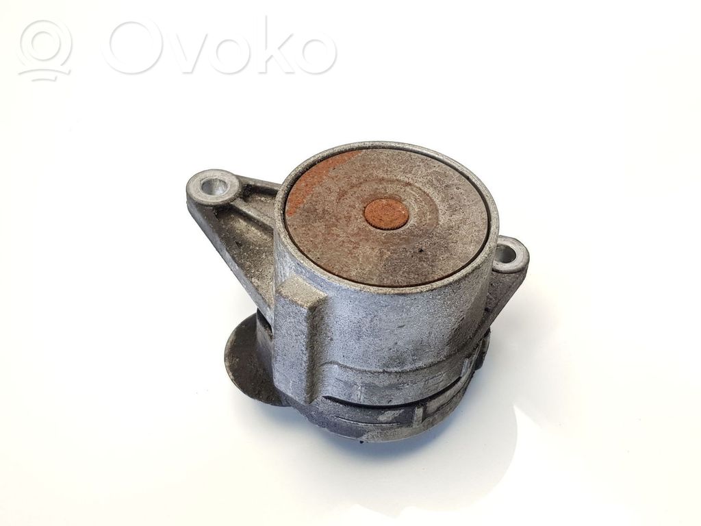 Volvo S40, V40 Napinacz paska alternatora 