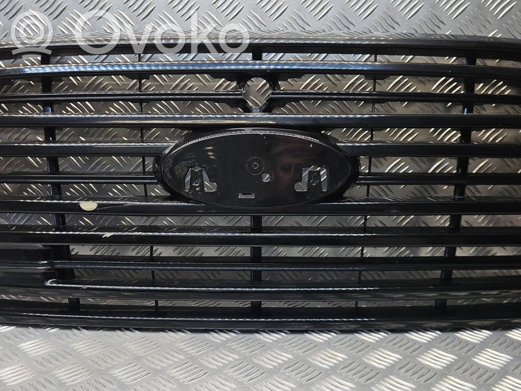 Front grill   BK3117B968B6
