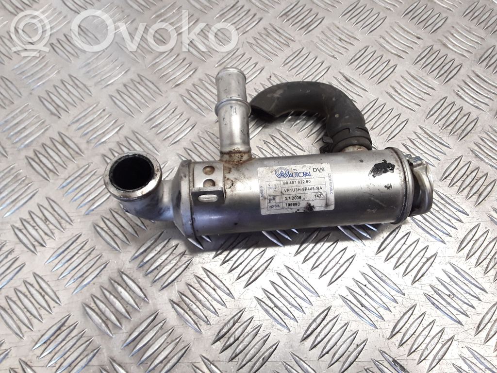 Peugeot 407 EGR aušintuvas 