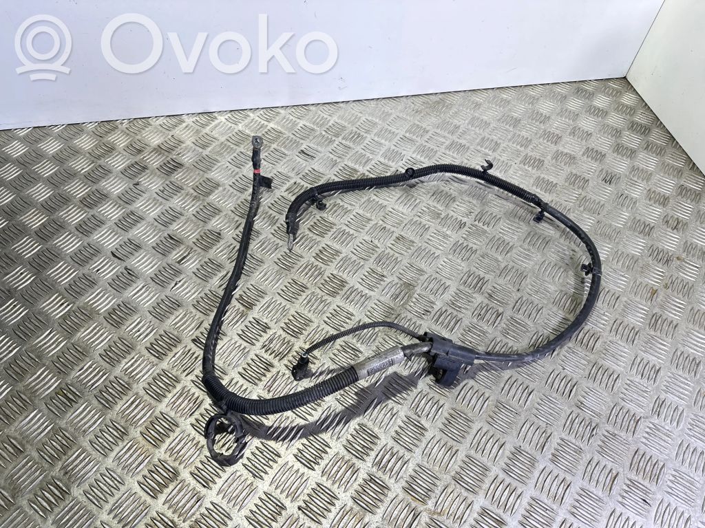Ford Focus Laidai (starterio) 