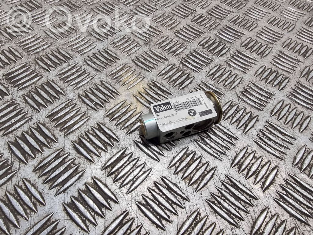 BMW 5 E39 Oro kondicionieriaus išsiplėtimo vožtuvas 