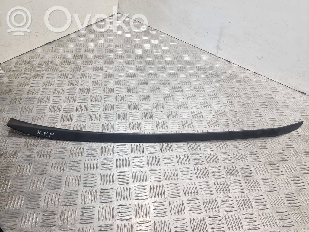 Ford Focus Windshield trim 