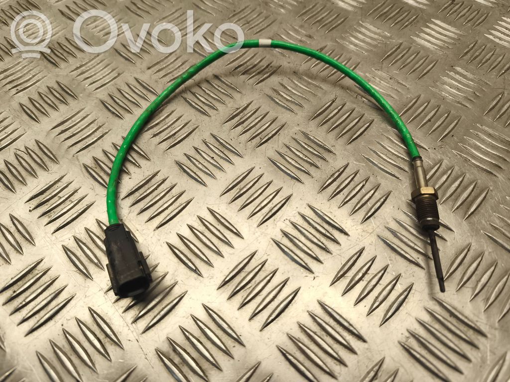 Ford Fiesta Išmetamųjų dujų temperatūros daviklis 