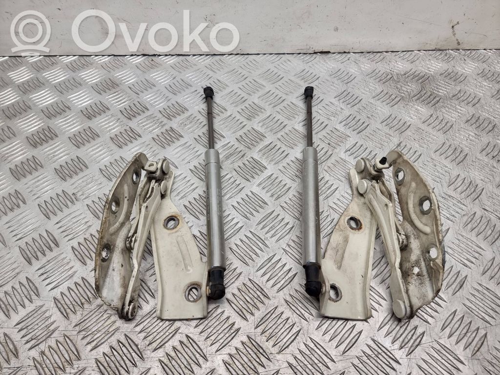 Volkswagen Phaeton Cerniere del vano motore/cofano 
