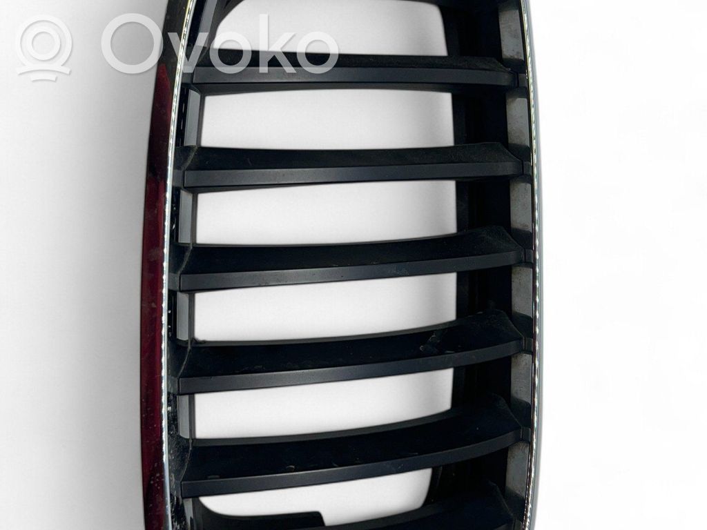 BMW X5 E70 Front grill 