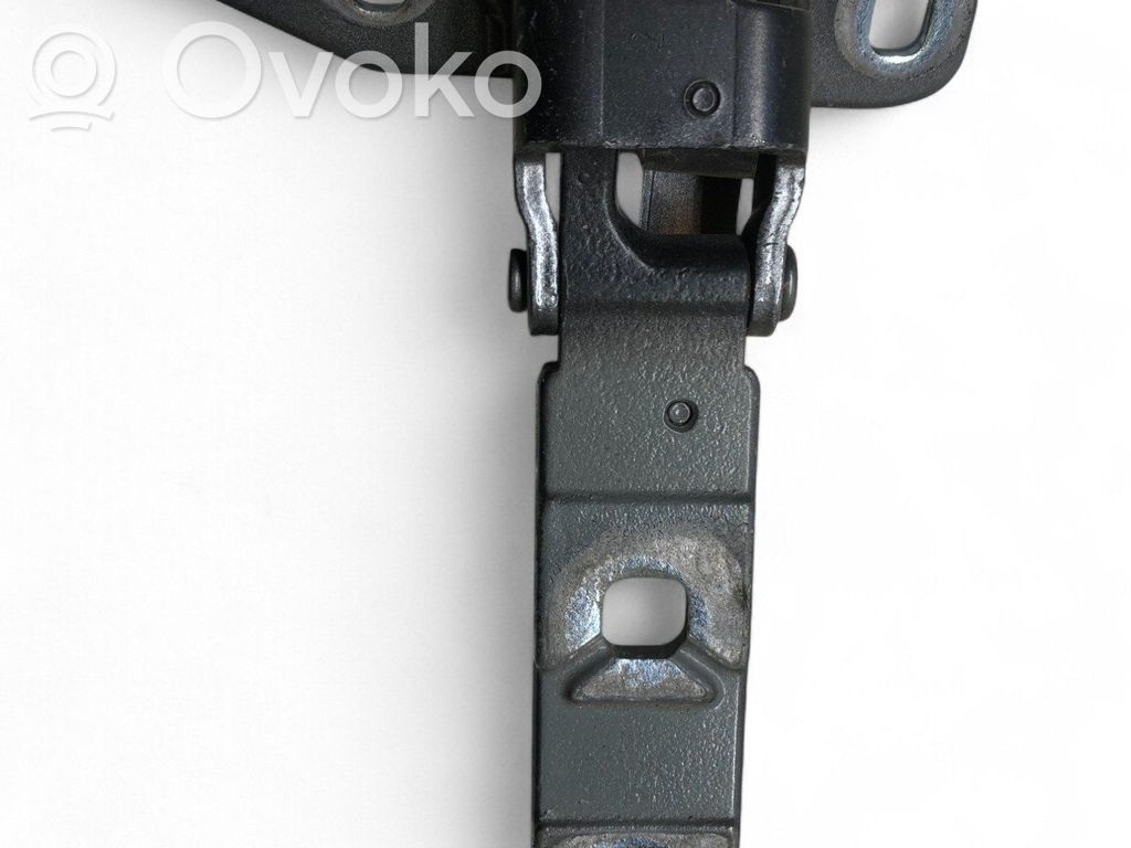 BMW X5 E70 Tailgate/trunk/boot hinge 