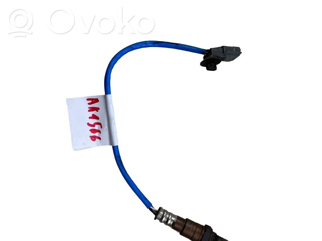 Зонд «Lambda»   226932962R