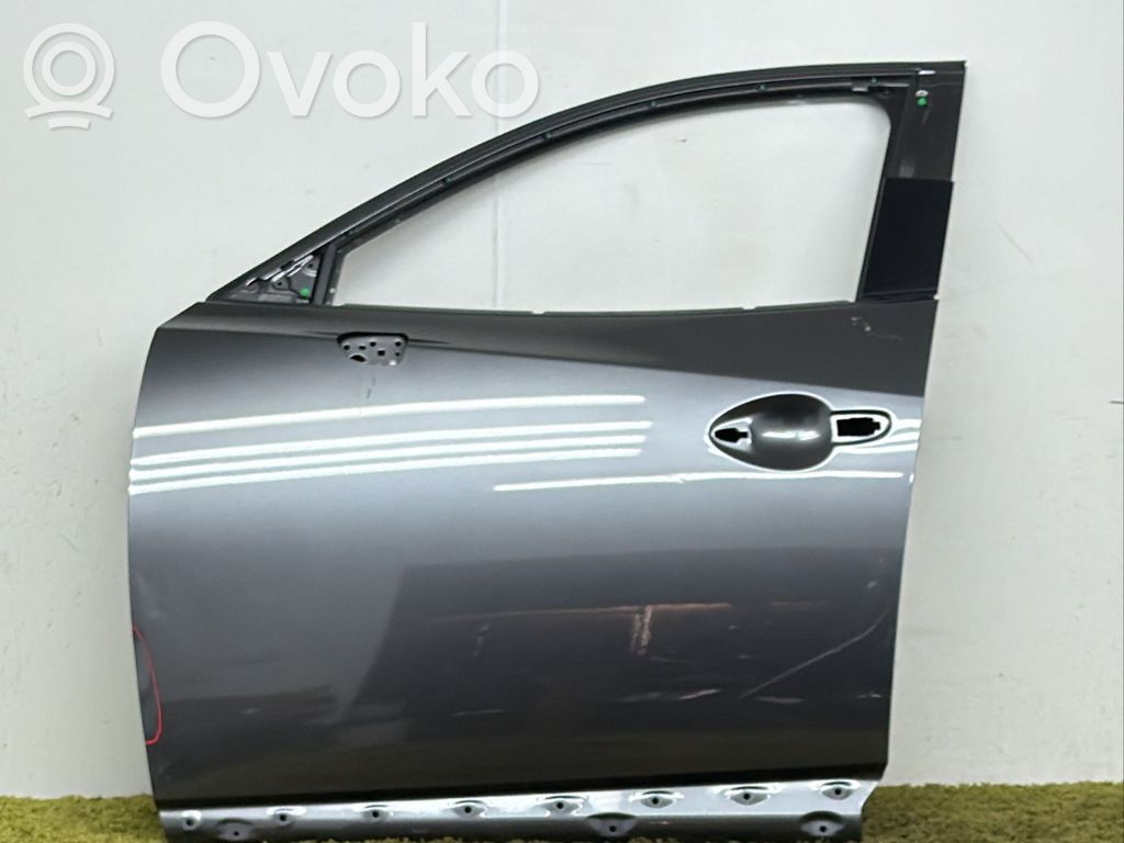Priekinės durys   D10E59010