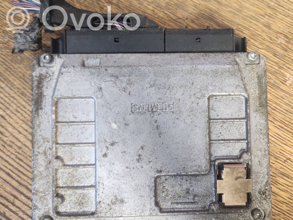 Engine control unit/module   03E906033L,5WP4019405