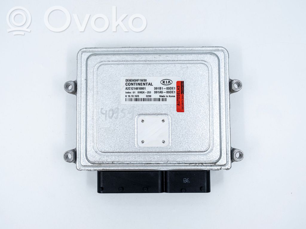 KIA Niro Engine control unit/module 