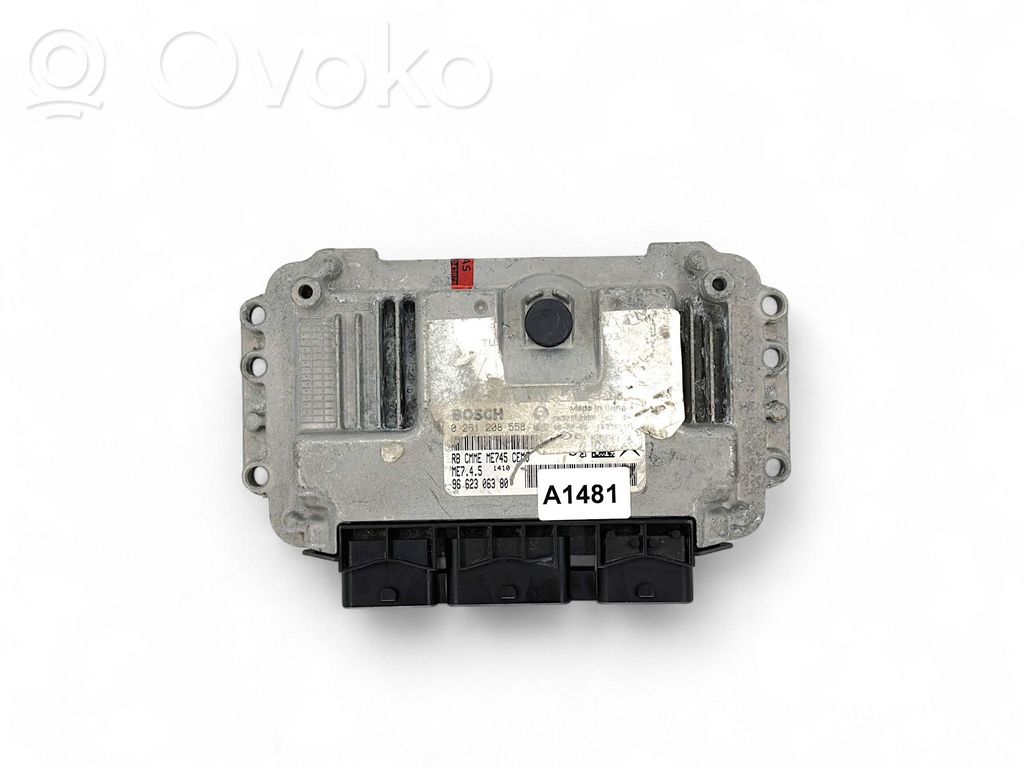 Peugeot 307 Engine control unit/module 